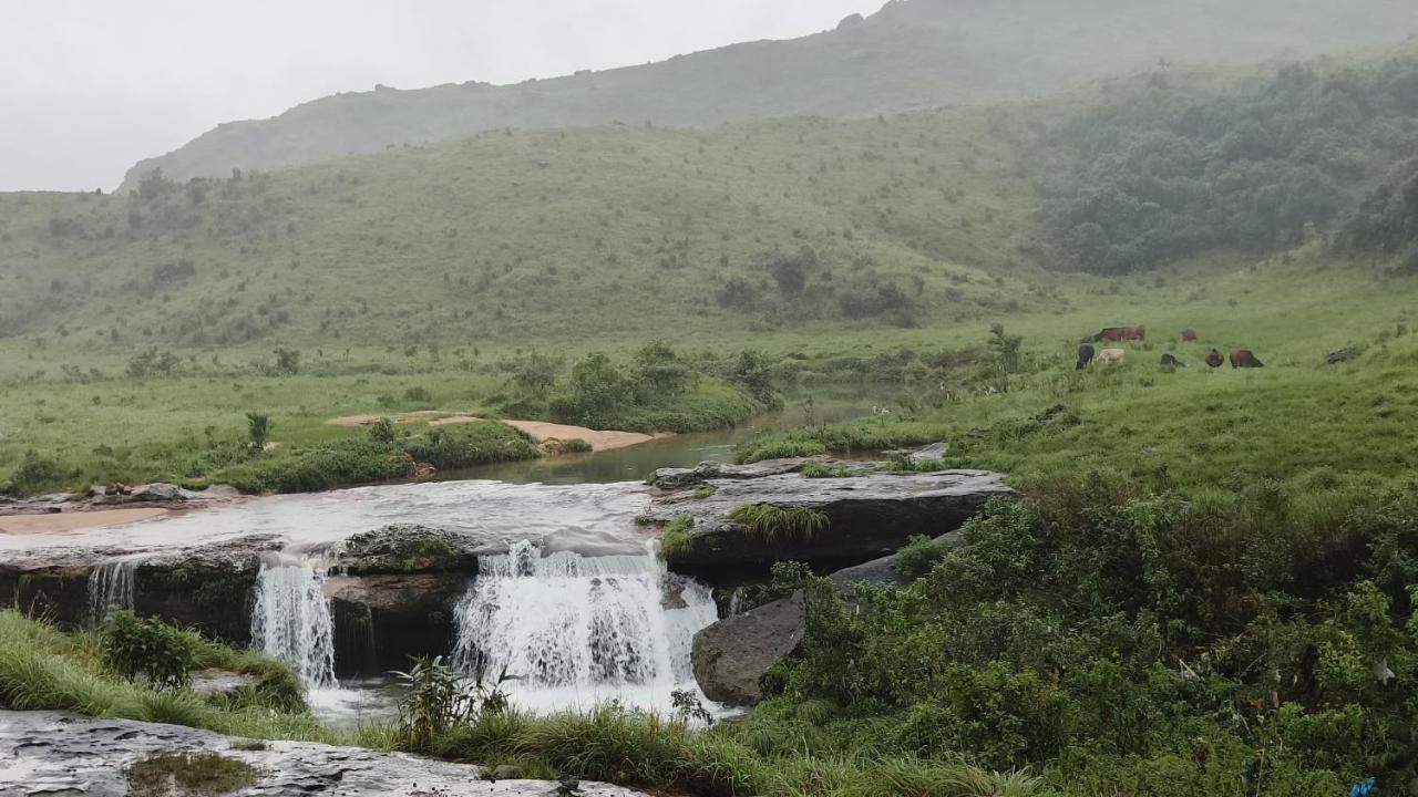 Lavender Homestay Cherrapunji Luaran gambar